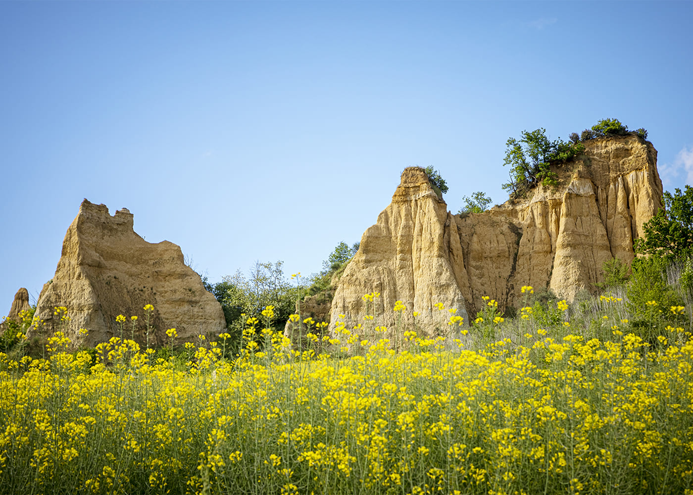 campo toscano